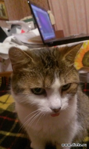 4 фото: Сашка и ремонт