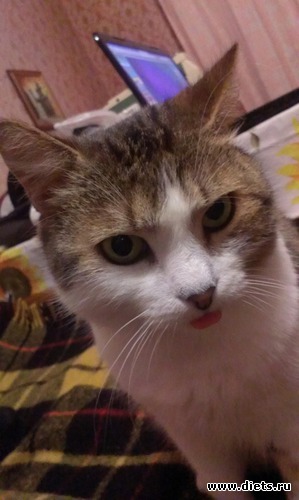 5 фото: Сашка и ремонт