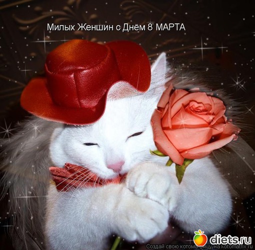 5 фото: 1янв,23фев,8мар,1апр,1и9мая,1июн,1сен,7ноя