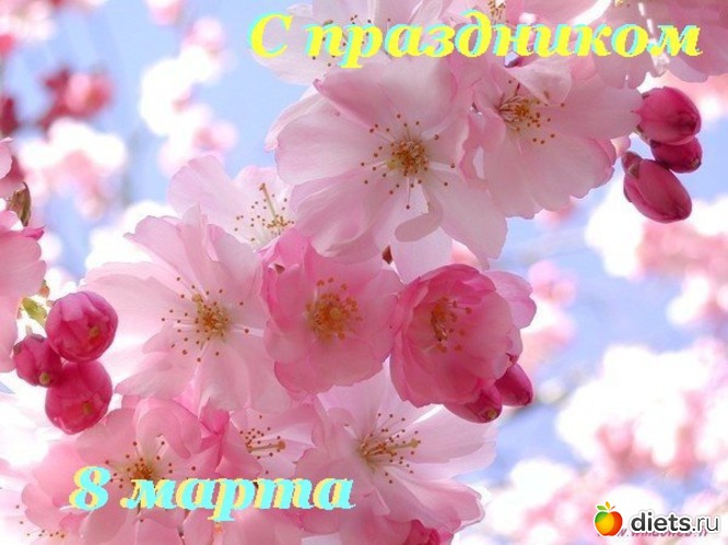 13 фото: 1янв,23фев,8мар,1апр,1и9мая,1июн,1сен,7ноя