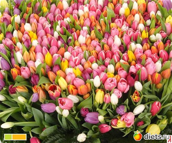 136 фото: всякая всячина...