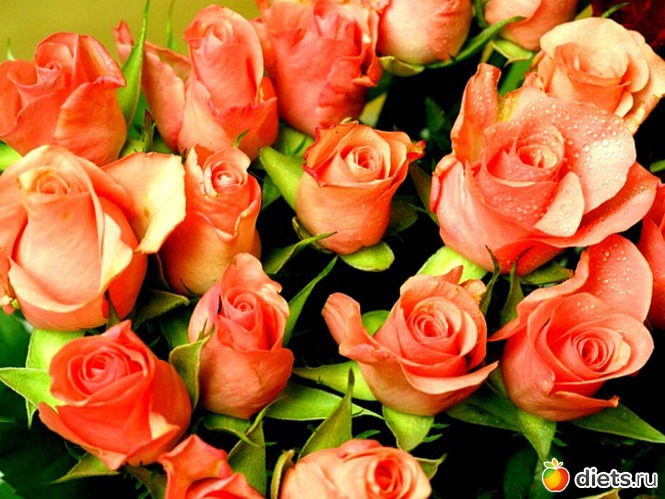 148 фото: всякая всячина...