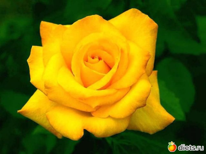 149 фото: всякая всячина...