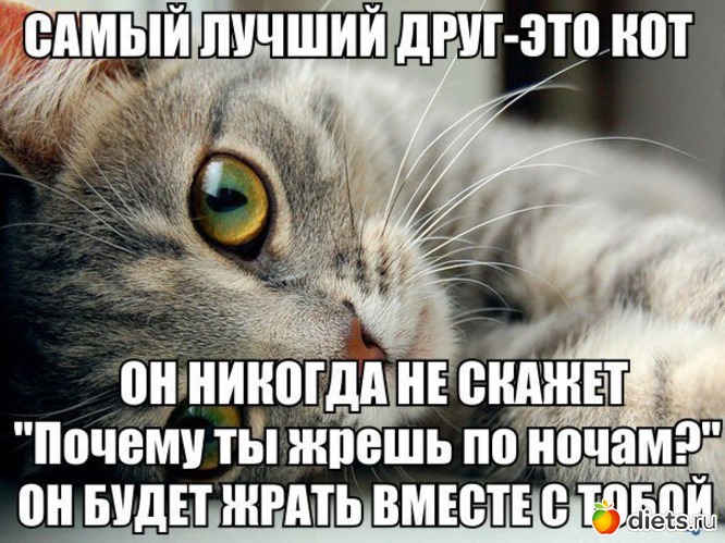 5 ����: ��� ��������� ...� �� ������ !