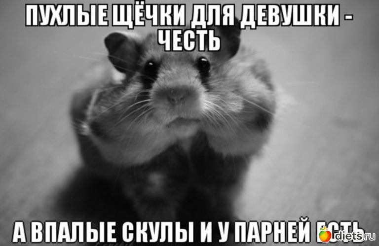 6 ����: ��� ��������� ...� �� ������ !