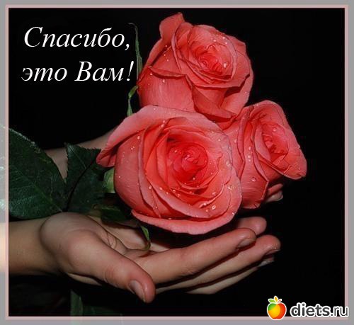 Благодарности и благословения