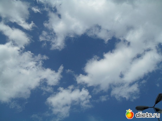 10 ����: ���� ��� ��������
