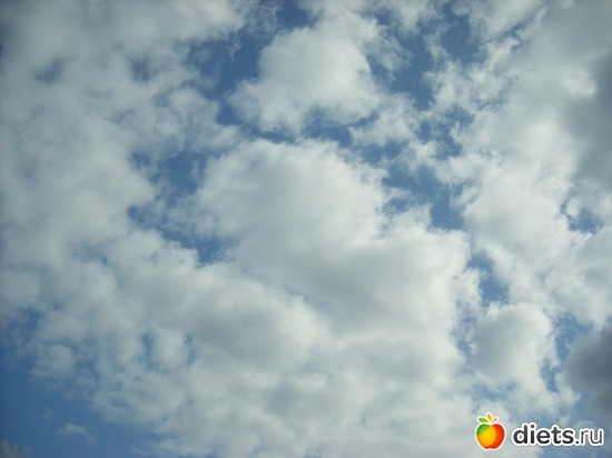 11 ����: ���� ��� ��������