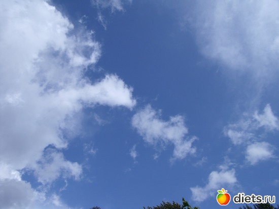 18 ����: ���� ��� ��������