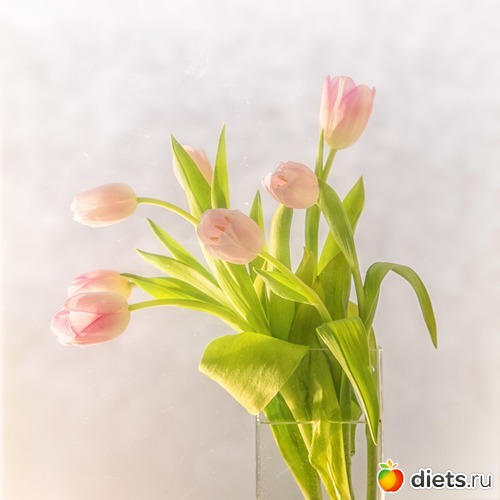 Ждем весну, альбом: Мои фотографии