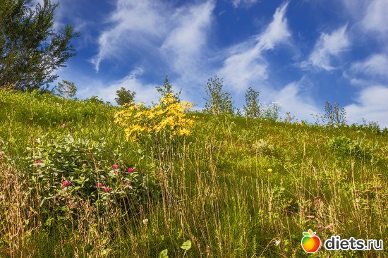 Лето, альбом: Мои фотографии