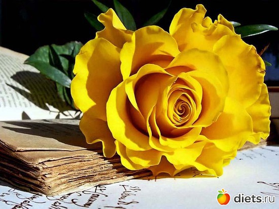 12.03., ������: ����������� �.�.