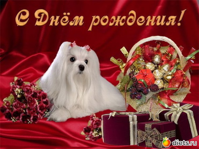 12.03., ������: ����������� �.�.