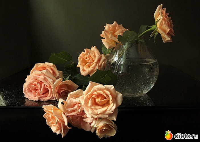 12., ������: ����������� �.�.