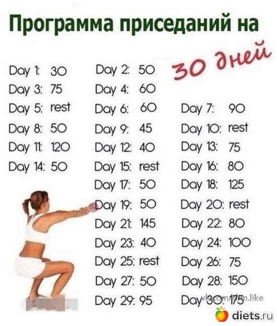 1 ����: ����������