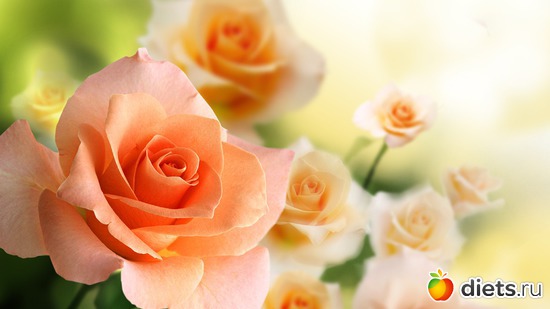 12, ������: ����������� �.�.