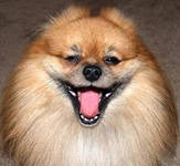 всякая всячина...