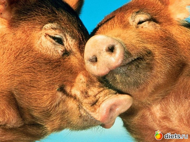 155 фото: всякая всячина...