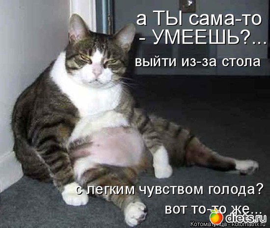 14 фото: ***