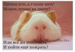 не могу...(((
