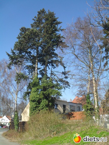 20 ����: ����� ������