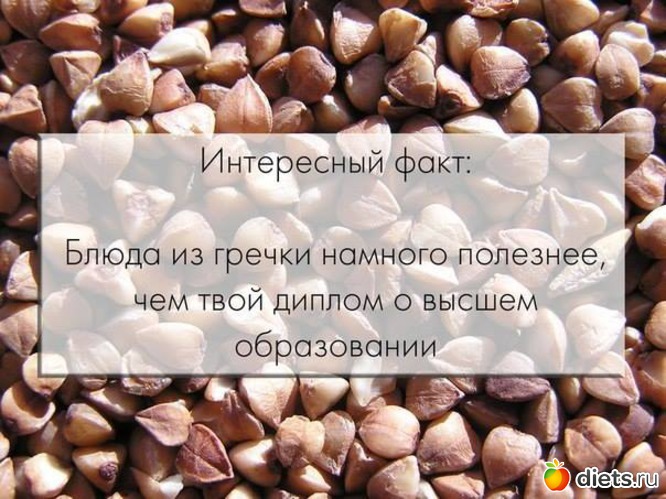 54 ����: �����������