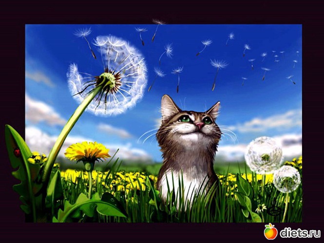 167 фото: всякая всячина...