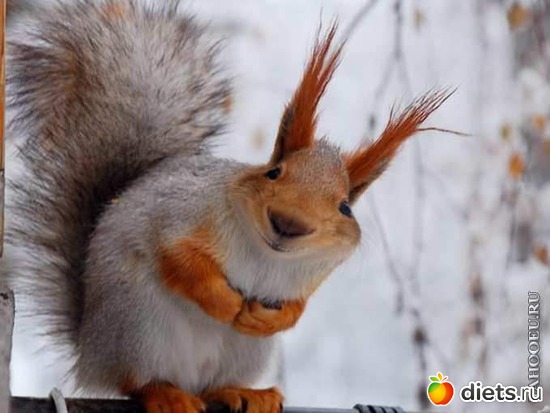 173 фото: всякая всячина...