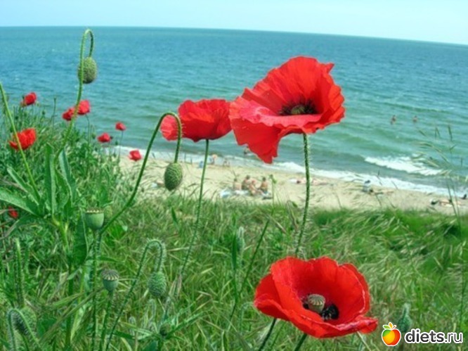 171 фото: всякая всячина...