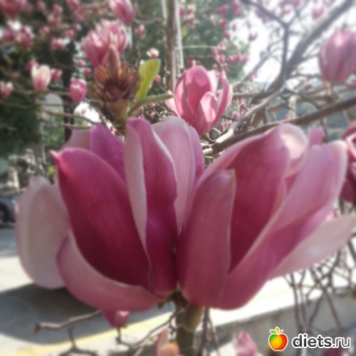 3 ����: �����