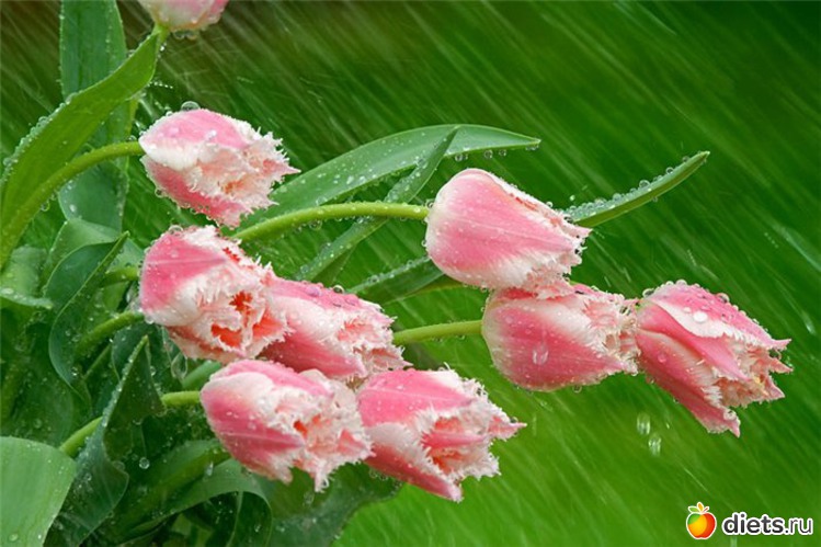 175 фото: всякая всячина...