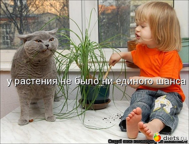 185 фото: всякая всячина...