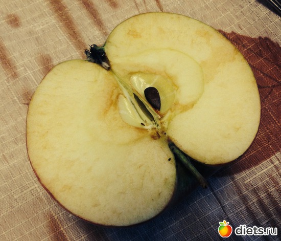 198 ����: ��, ��� � ��