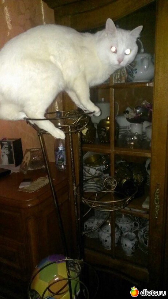 4 фото: Васятко