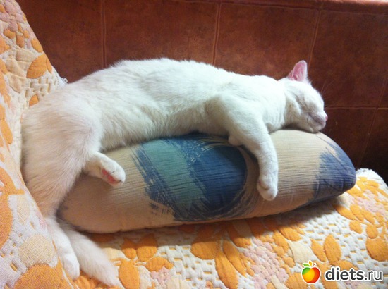 5 фото: Васятко