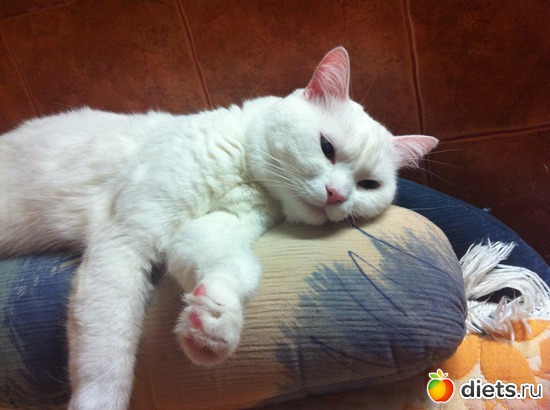 6 фото: Васятко