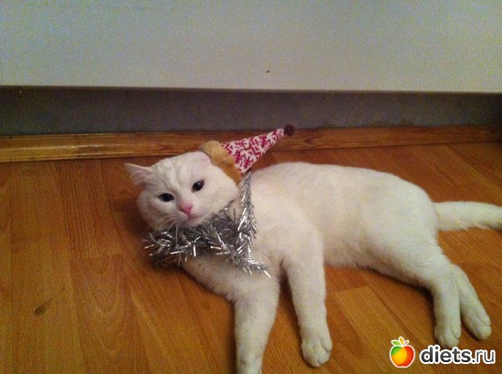 8 фото: Васятко