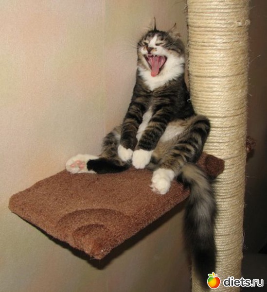 182 фото: всякая всячина...