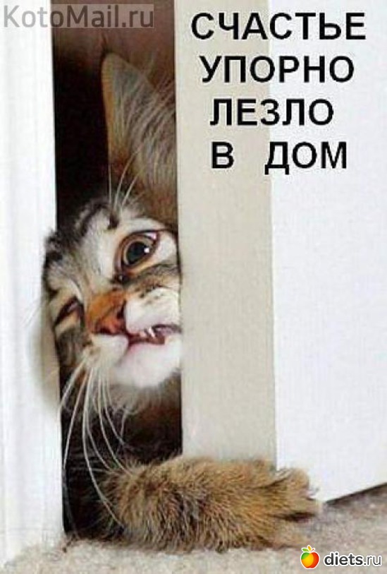 180 фото: всякая всячина...