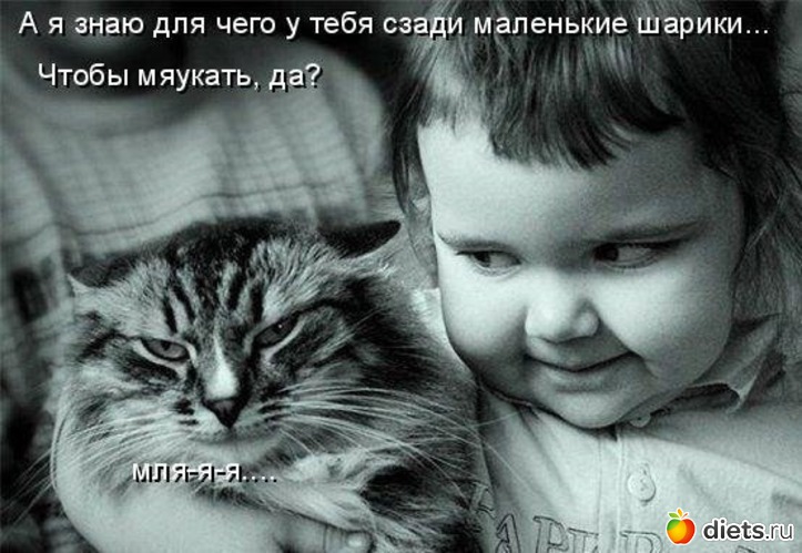 186 фото: всякая всячина...