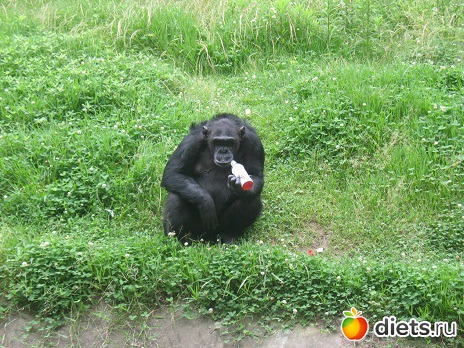 жизнь в Китае