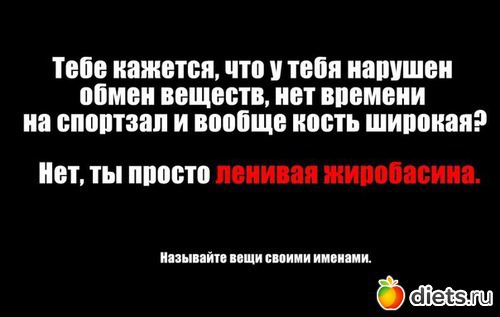 ��� ����������