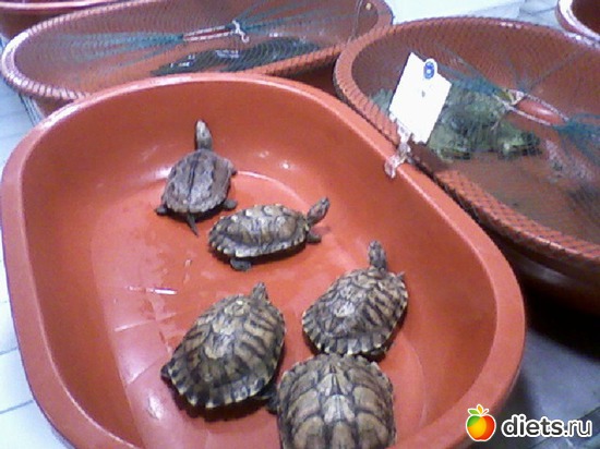 52 фото: жизнь в Китае