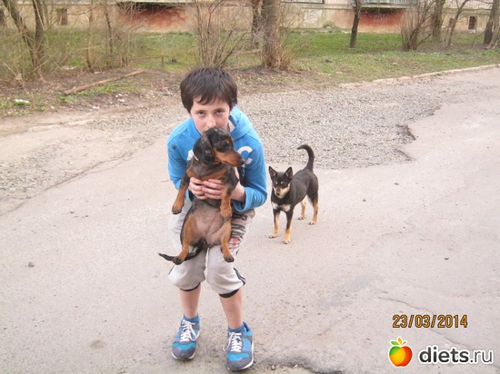 31 ����: ����� 2013 � ������...