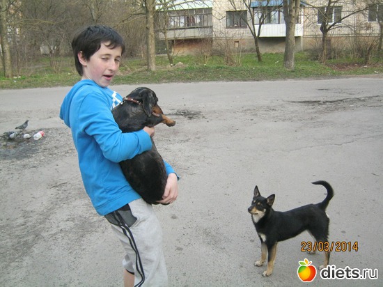 33 ����: ����� 2013 � ������...