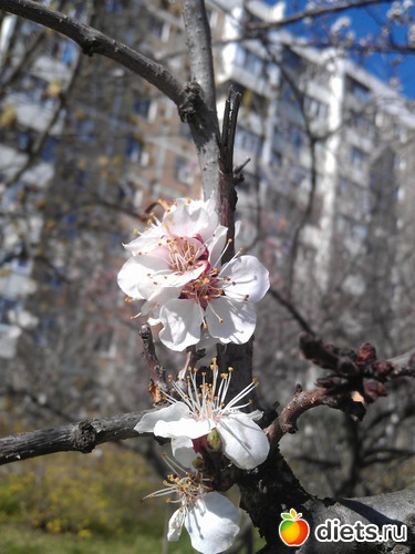 10 фото: Великий Пост - 2014