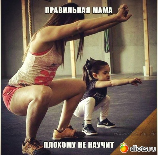 96 ����: ���������