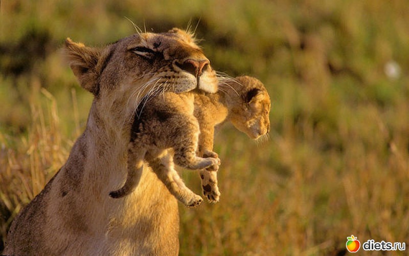 26 фото: все подряд