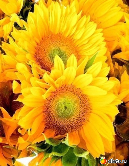 29 фото: все подряд