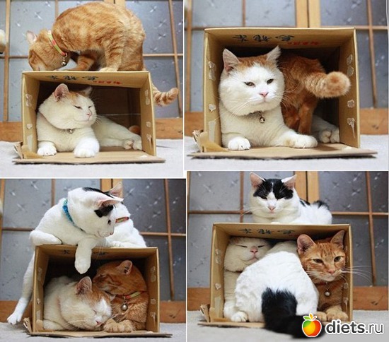 30 фото: все подряд